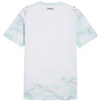 Austria Away World Cup 2026 Jersey Player's Version Light Blue Men's