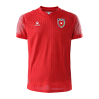 Jordan Away World Cup 2026 Jersey Red Men's