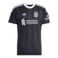 Liverpool 2025/26 Goalkeeper Jersey Black Men's