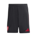 Liverpool Away 2025/26 Shorts Black Men's