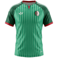 Algeria Away World Cup 2026 Jersey Green Men's