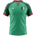 Algeria Away World Cup 2026 Jersey Green Men's