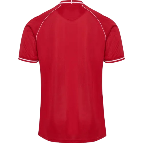 Denmark Home World Cup 2026 Jersey Red Men's