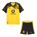 Dortmund Home 2025/26 Kit Yellow Men's