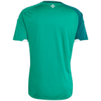 Northern Ireland Home World Cup 2026 Jersey Green Men's