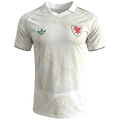 Wales Home World Cup 2026 Jersey Player's Version White Men's