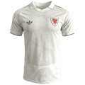 Wales Home World Cup 2026 Jersey Player's Version White Men's